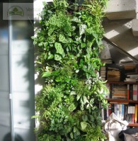 /album/vertical-jardim/jardimcorredor-jpg/