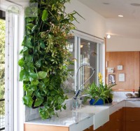 /album/vertical-jardim/jardimcozinha-jpg/