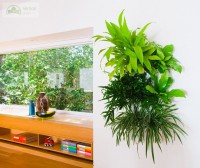 /album/vertical-jardim/jardimsala1-jpg/